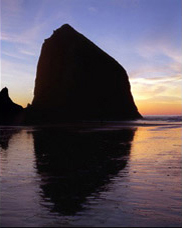 Beachcombers Near Haystack Rock at sunset; location for the film: The Goonies